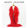 Ostrich Feather Boas 10/15cm (Sold By Piece)