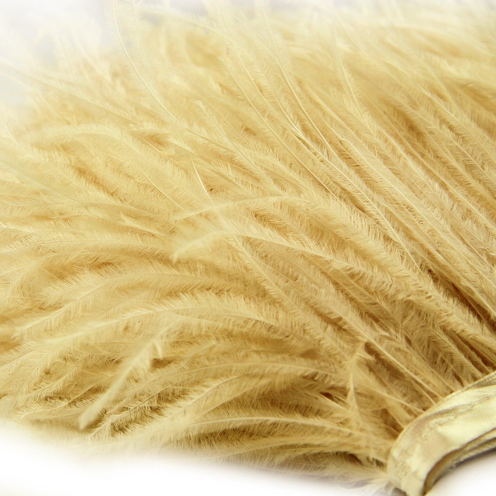 Ostrich Feather Fringes Trimmings 6/8cm (Sold By Meter)