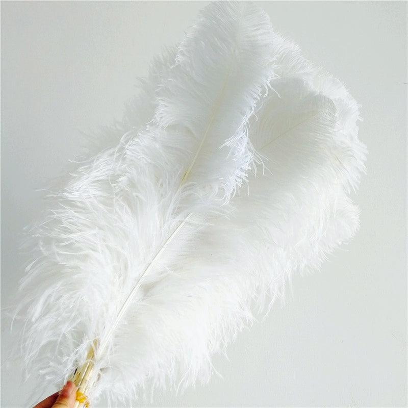 Ostrich Feather Spad Plumes 16-20 (White) for Sale Online