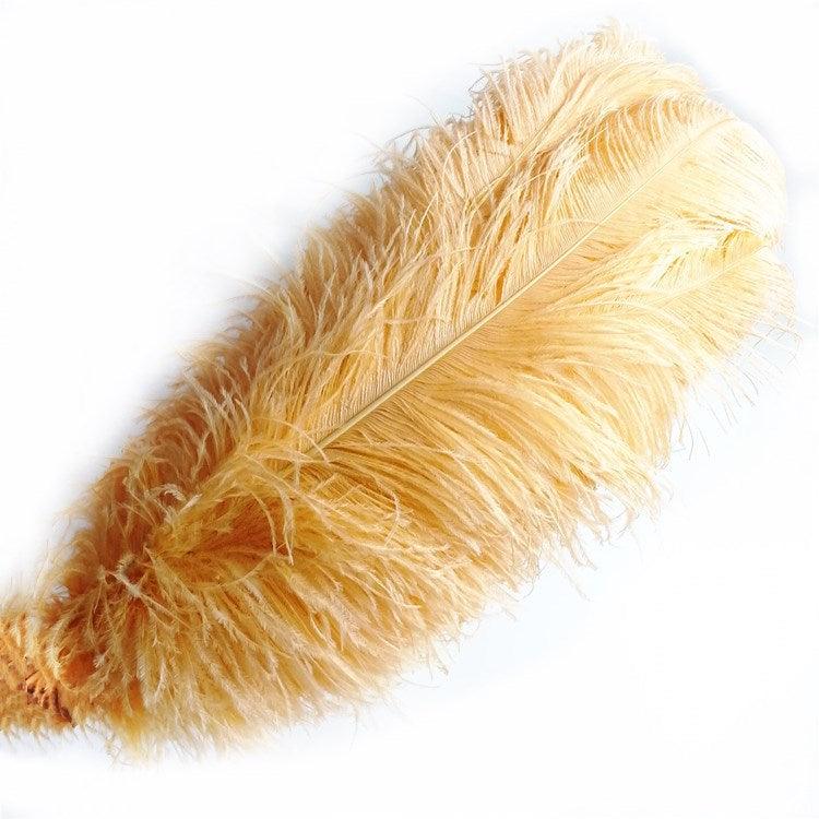 Ostrich Feathers Bulk - Buy Ostrich Feathers Bulk - SendyFeather