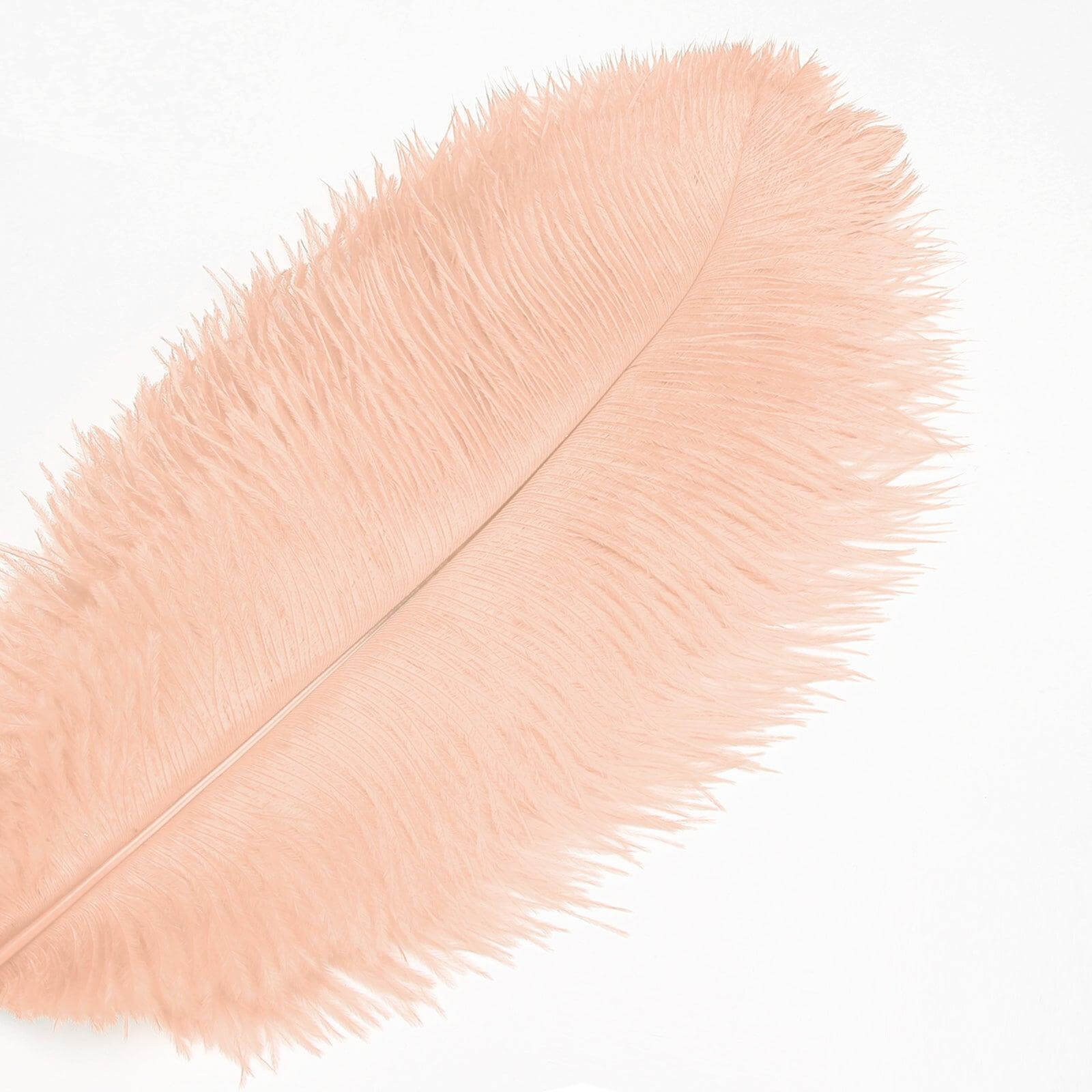 champagne ostrich feathers | ostrich feathers - sendyfeather.com