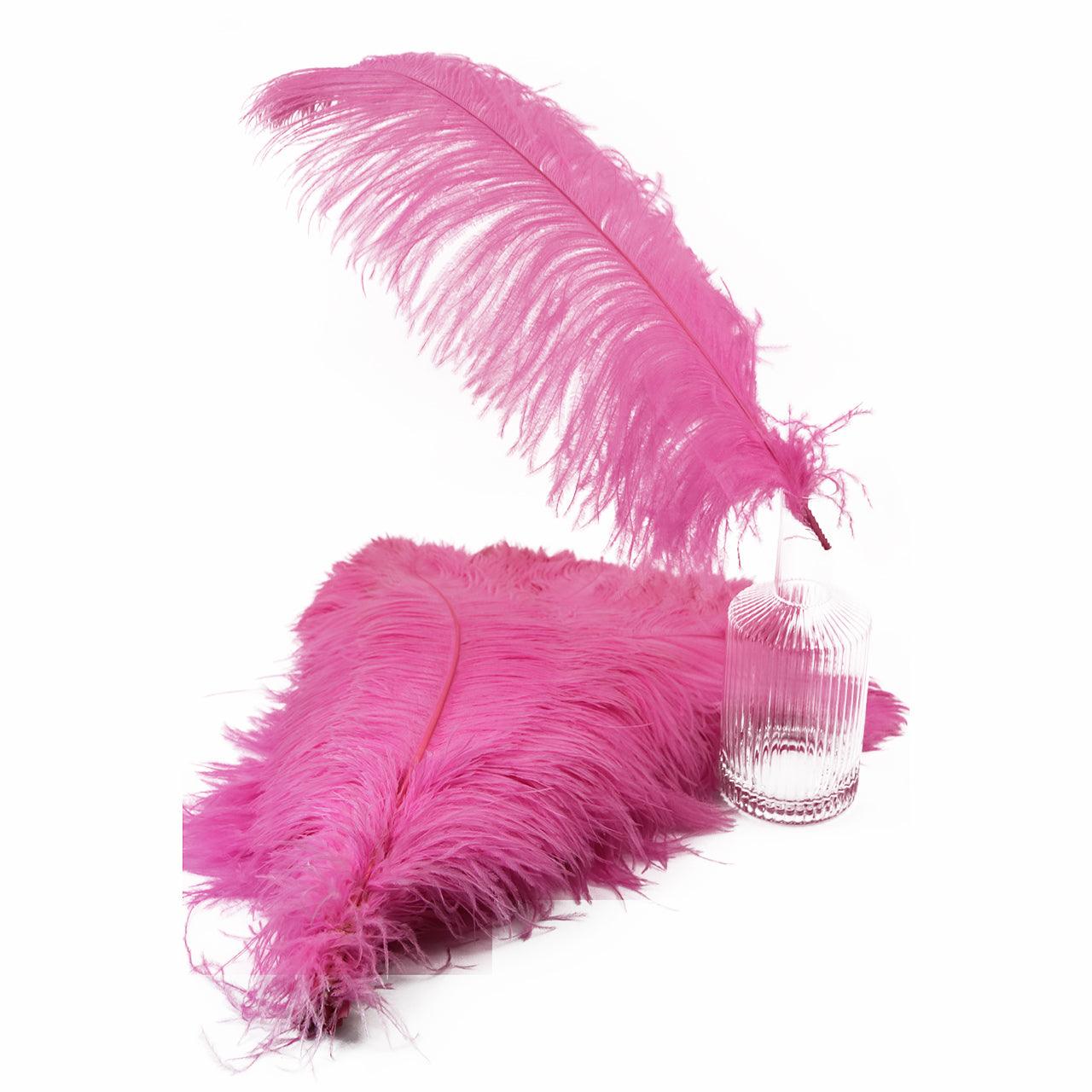 Pink Ostrich Feather Splendor Cigar Box Purse –