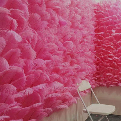 small ostrich feathers | ostrich feathers - sendyfeather.com