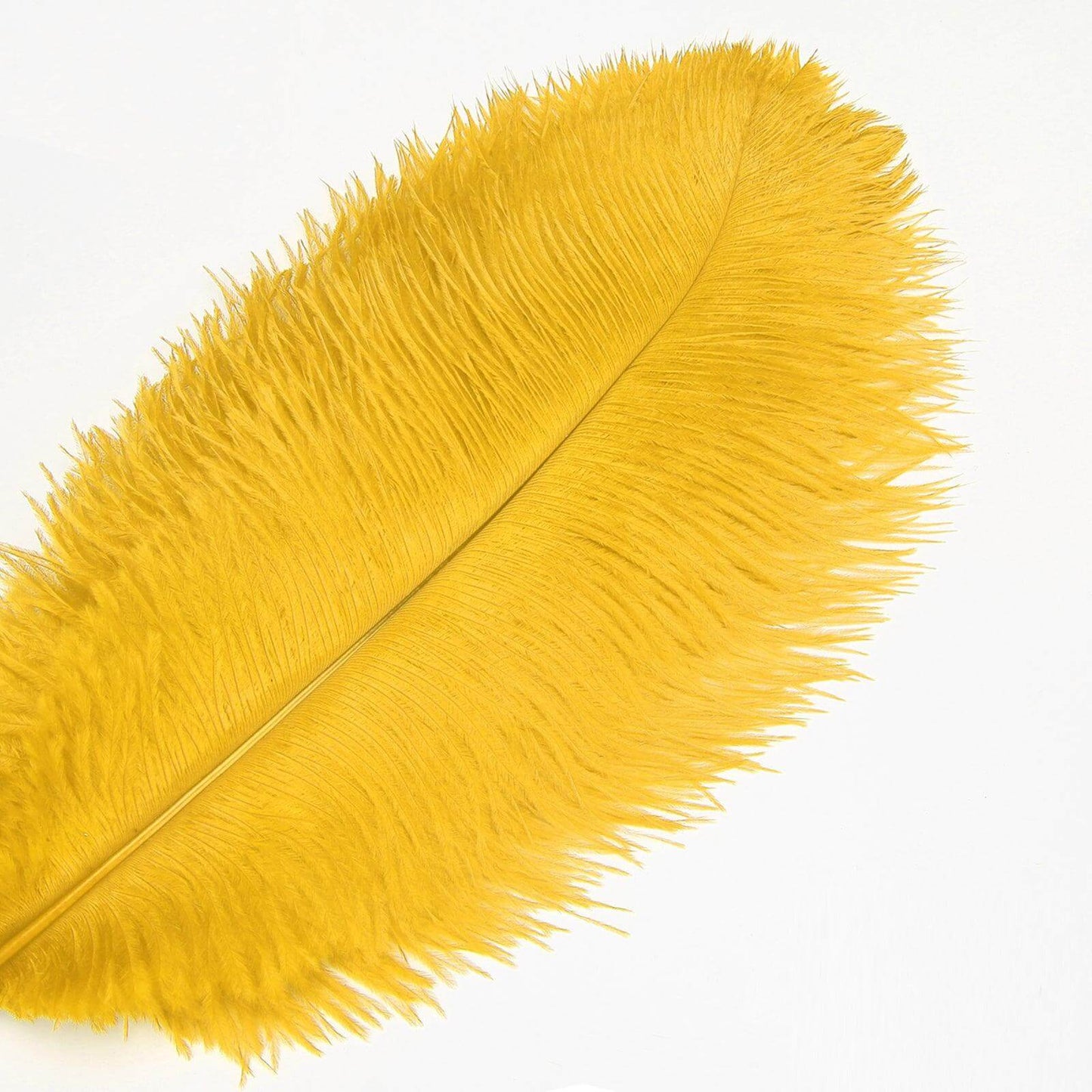 yellow ostrich feathers | ostrich feathers - sendyfeather.com