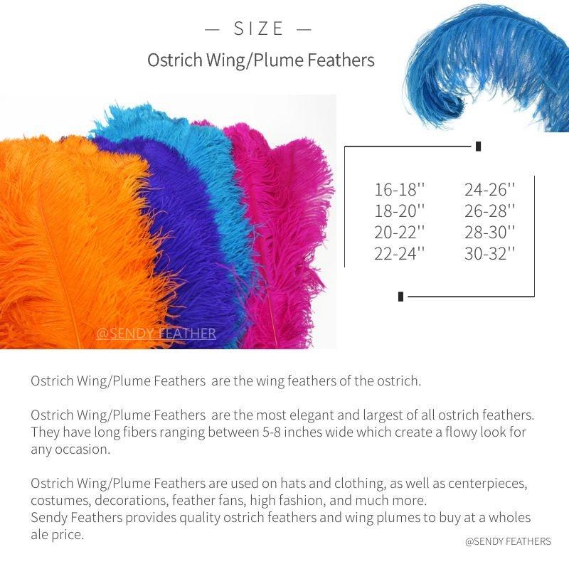 OSTRICH WING FEATHERS | OSTRICH PLUMES (PACK OF 12)