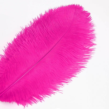 ostrich feather plumes | ostrich feathers - sendyfeather.com